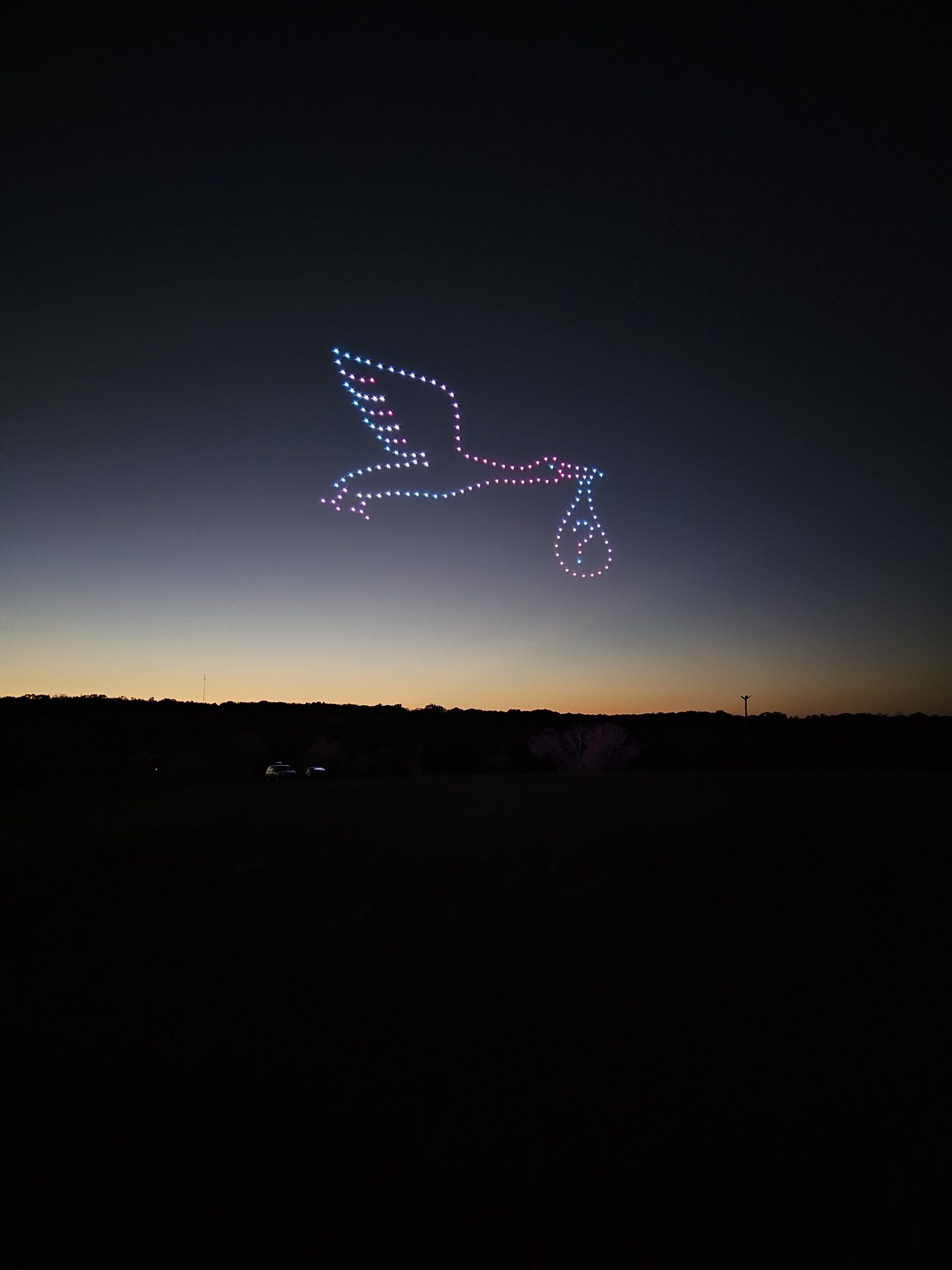 image of stork created with drones Starstruck Drone Shows